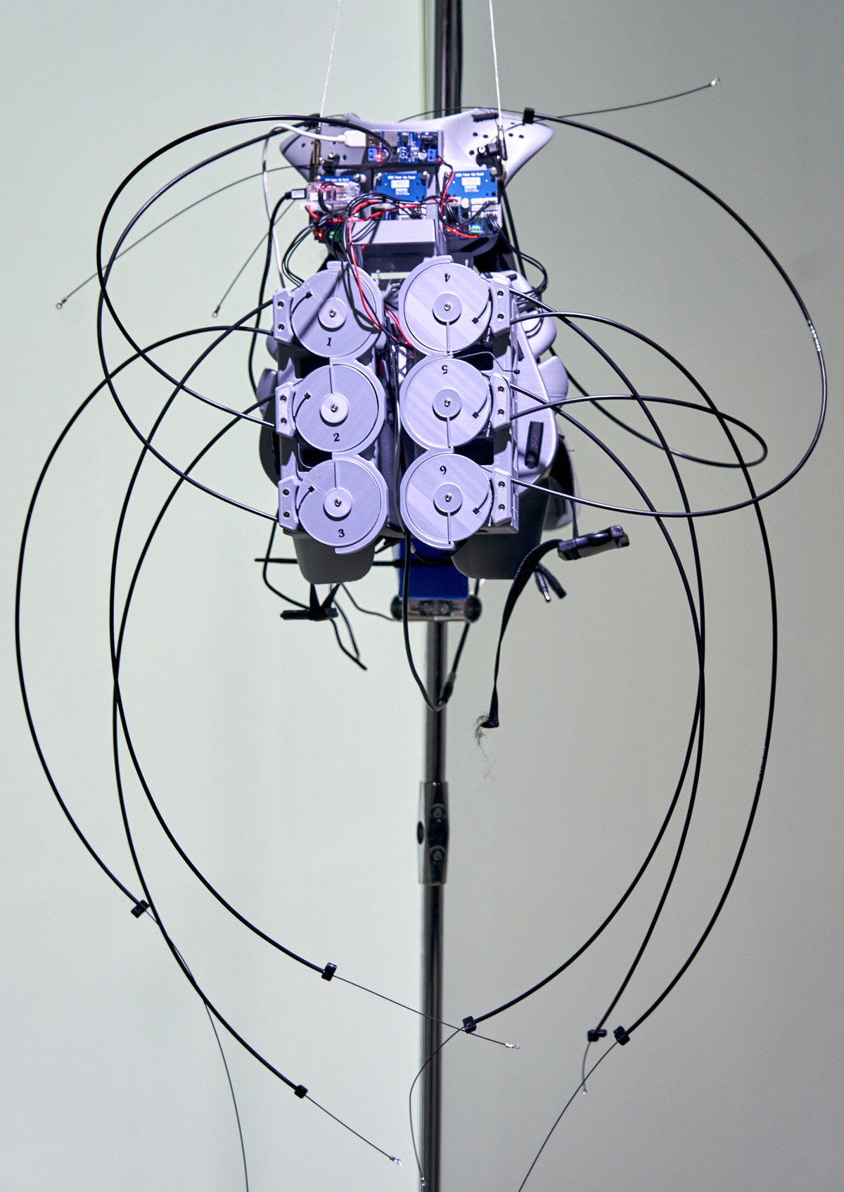 Performing Suit 01 2022