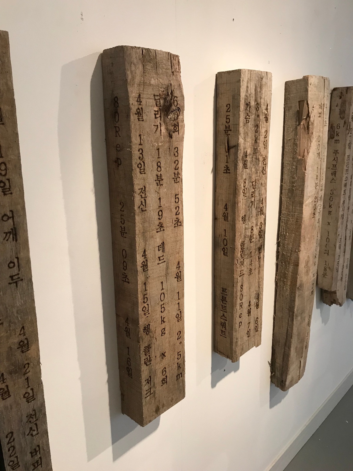 일기목 Wood diary