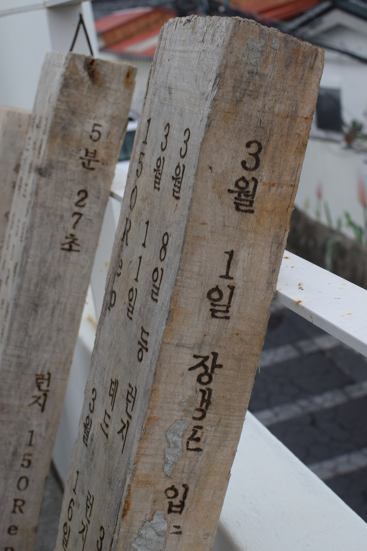 일기목 Wood diary