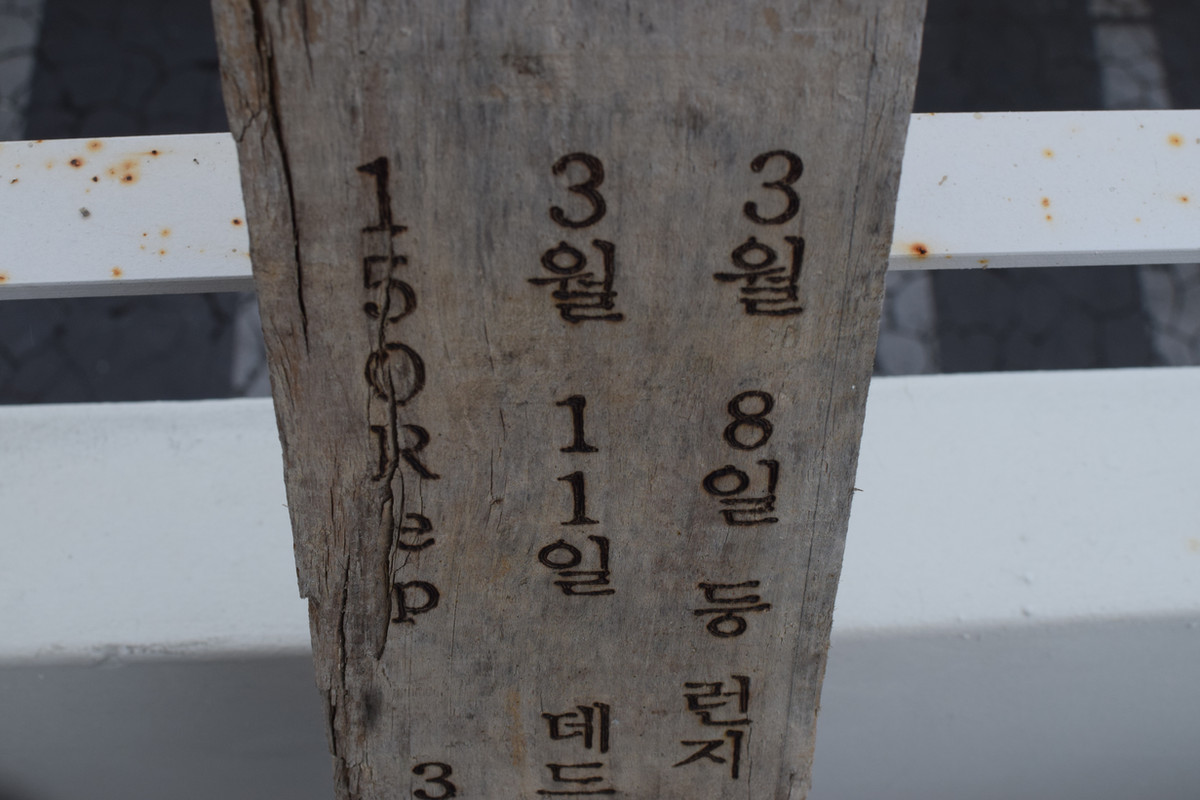 일기목 Wood diary