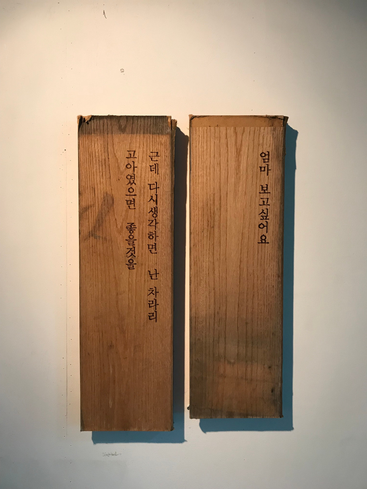 일기목 Wood diary